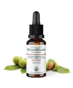 Walnut (Juglans regia) bud BIO, 30 ml